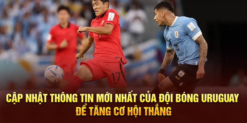 Cập nhật thông tin mới nhất của đội bóng để tăng cơ hội thắng