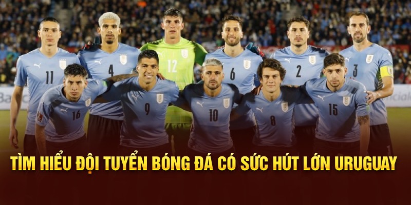 Tìm hiểu đội tuyển bóng đá quốc gia Uruguay 