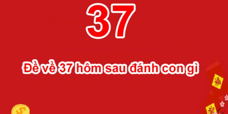 Tìm hiểu đề về 37